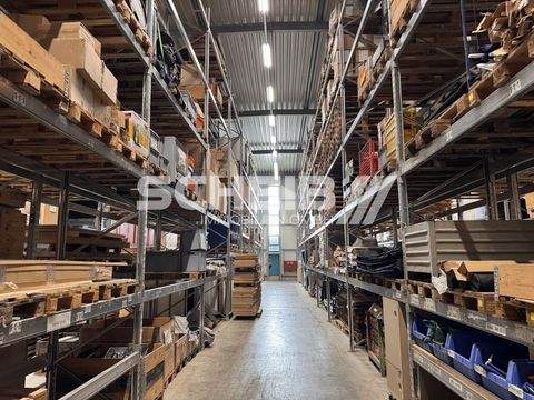 Bretzfeld Halle, Bretzfeld Hallenfläche