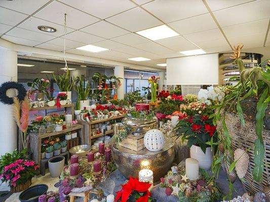 Viel Platz für Ihre Waren