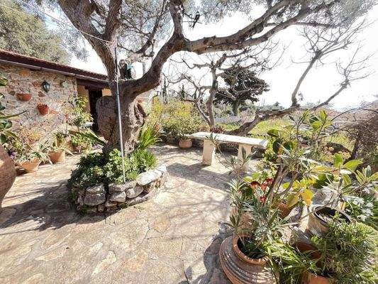 Kreta, Paleloni – Traditionelles kretisches Haus mit ikonischen Steinbögen