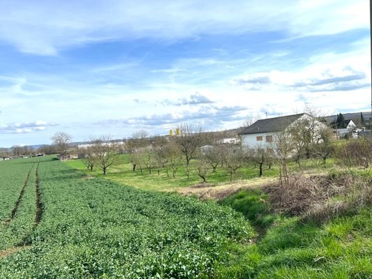 Gartenansicht Bild 5