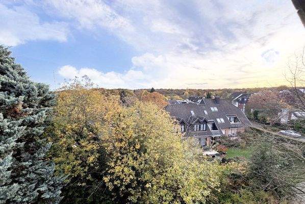 Rückwärtiger Blick Spitzboden