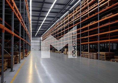 Gelsenkirchen Halle, Gelsenkirchen Hallenfläche