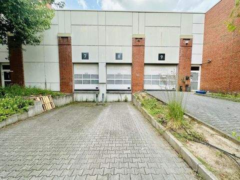 Dortmund Halle, Dortmund Hallenfläche