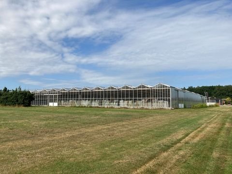 Großenkneten Bauernhöfe, Landwirtschaft, Großenkneten Forstwirtschaft