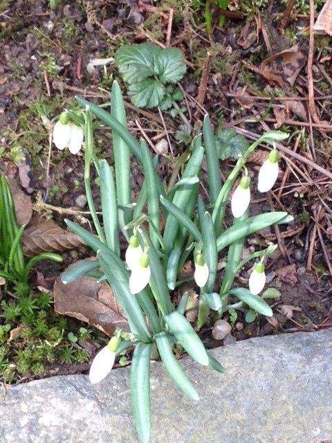 Chemnitz Häuser, Chemnitz Haus kaufen
