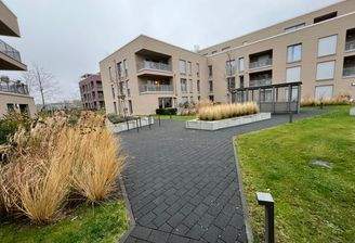 Groß (IMG_1564).jpeg