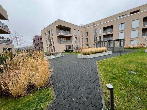 Trier Wohnungen, Trier Wohnung mieten