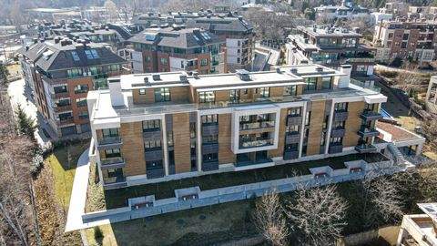 Sofia Büros, Büroräume, Büroflächen 