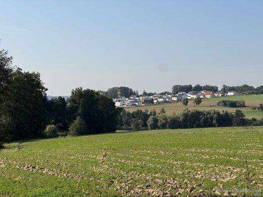 Immobilien-Eggenfelden 3