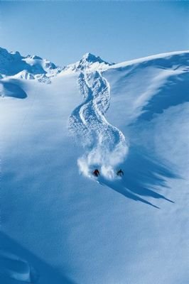 Bild 31