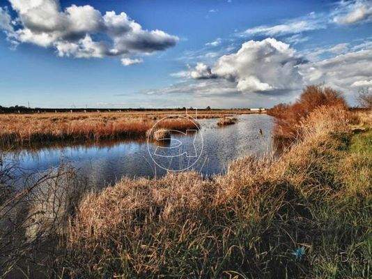 Wundervolles Anwesen | Livorno