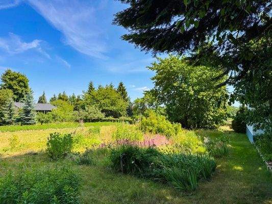 Blick von der Gartenlaube nach Osten