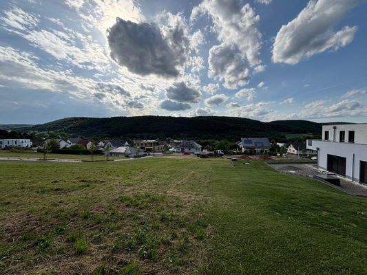 WhatsApp Image 2025-07-10 at 09.23.31 (4)