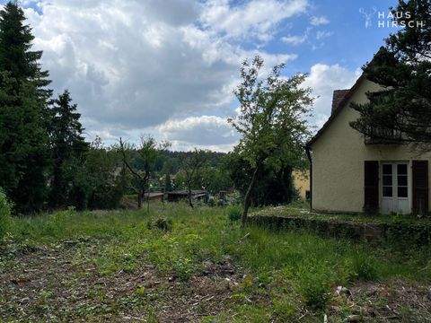 Neunkirchen am Sand Grundstücke, Neunkirchen am Sand Grundstück kaufen