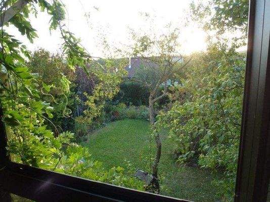 Unser Hausgarten - Blick aus dem Wintergarten