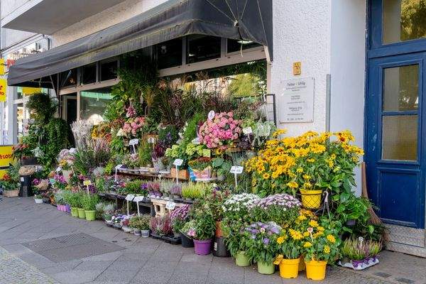 Charmante Nachbarschaft