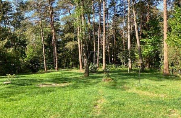 Blick auf die Auffahrt