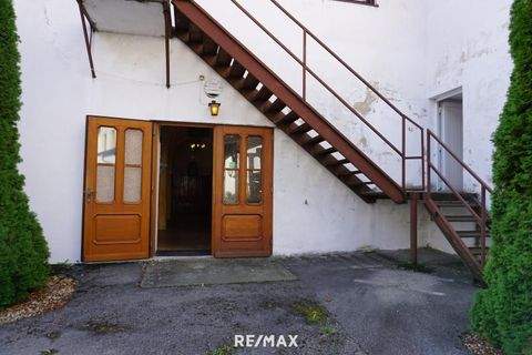 Hainburg an der Donau Halle, Hainburg an der Donau Hallenfläche