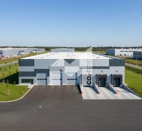 Duisburg Halle, Duisburg Hallenfläche