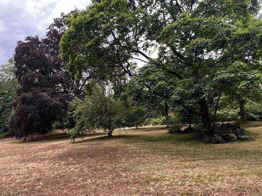 Blick auf Rhododendronpark