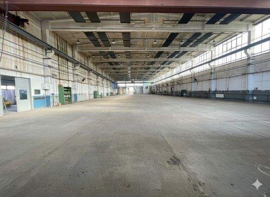 Industriehallenfläche Groß_1742m².jpeg