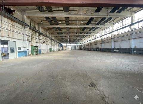 Jena Halle, Jena Hallenfläche