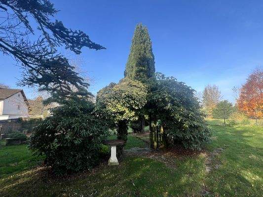 Garten_WünscheBereich