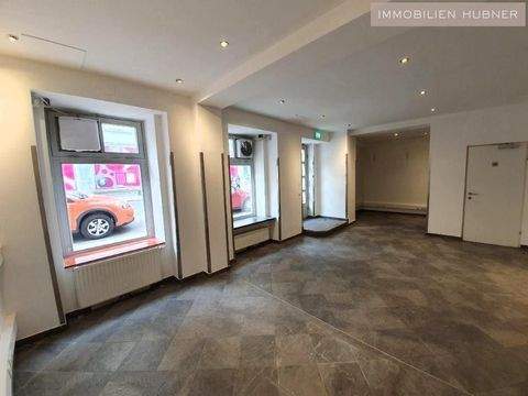 Wien Ladenlokale, Ladenflächen 