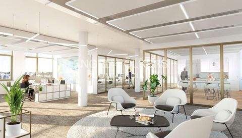 Berlin Büros, Büroräume, Büroflächen 