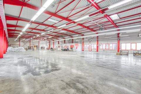 Eppingen Halle, Eppingen Hallenfläche