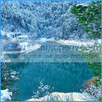 33cec91e5412417088dadf9ff1c18dd3-original