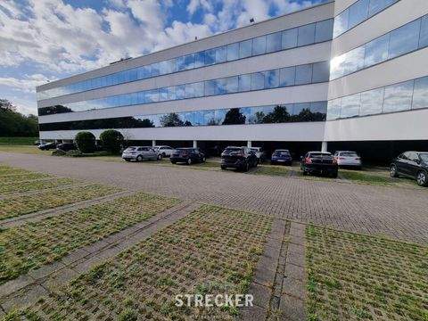 Ettlingen Halle, Ettlingen Hallenfläche