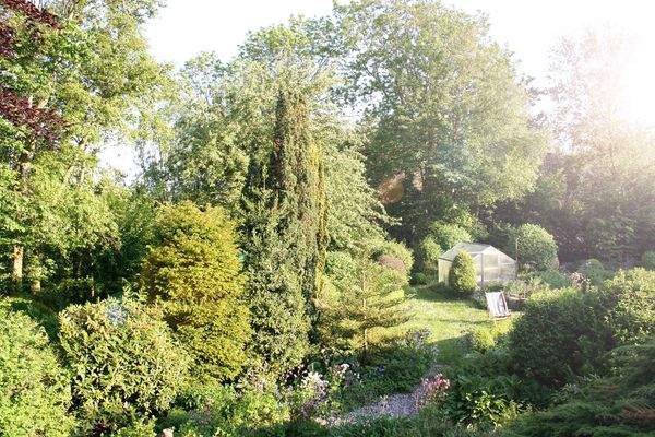 Ihr Herzstück. Ansicht Garten