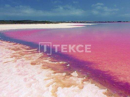 Modern Stylish Apartments in Complex in Torrevieja Alicante