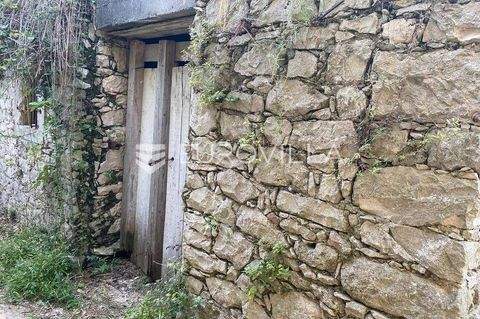 Mali Losinj Häuser, Mali Losinj Haus kaufen