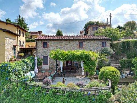 Stiava ( Massarosa) Häuser, Stiava ( Massarosa) Haus kaufen