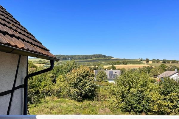 Wohnhaus derzeitiger Ausblick.jpeg