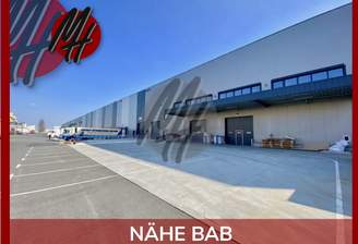 INFOS UNTER: 06171-586000