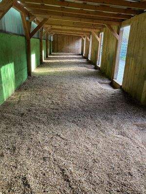 WhatsApp Image 2025-12-16 at 11.01.04-12.jpeg