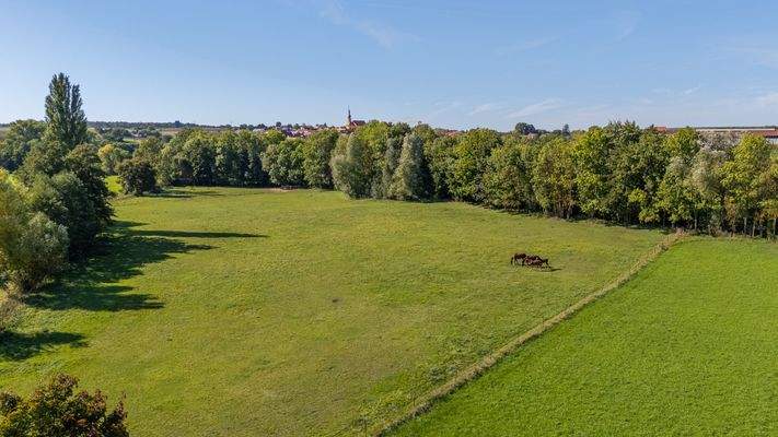 Ausblick auf die Pferdekoppel