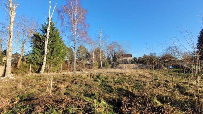 Baugrundstück - Ansicht von der Straße