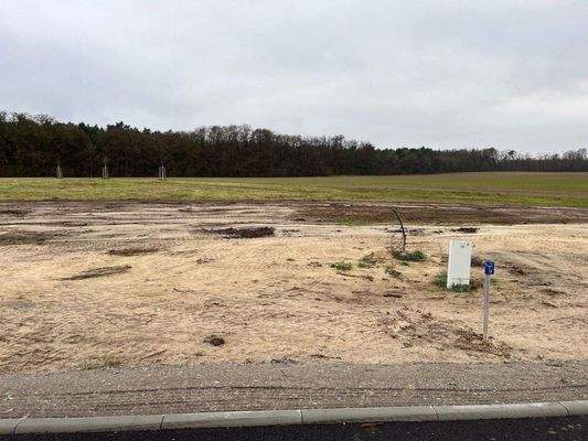 Gr. 24 linke Seite.jpg