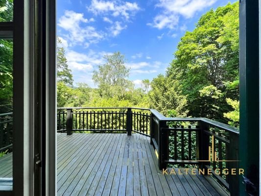 Blick von 46 m² Wohnküche auf Terrasse und Garten