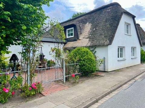 Süderdeich Häuser, Süderdeich Haus kaufen