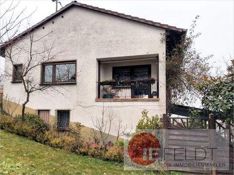 Neustadt (Wied) / Wied Häuser, Neustadt (Wied) / Wied Haus kaufen