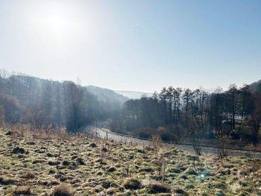 .. Blick auf Bad Brückenau !