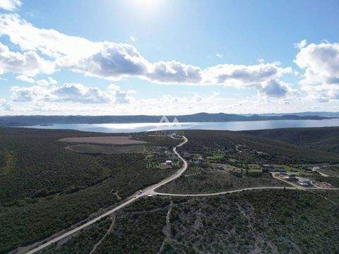 Sveti Filip i Jakov Bauernhöfe, Landwirtschaft, Sveti Filip i Jakov Forstwirtschaft