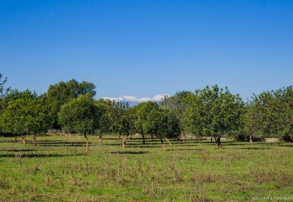 Grundstück mit Blick
