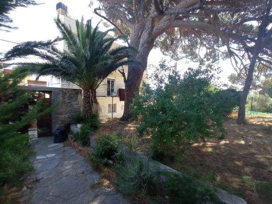 Kreta, Neapoli: Großes Steinhaus mit unvollendetem Gästehaus, Olivenhain und Garten zu verkaufen