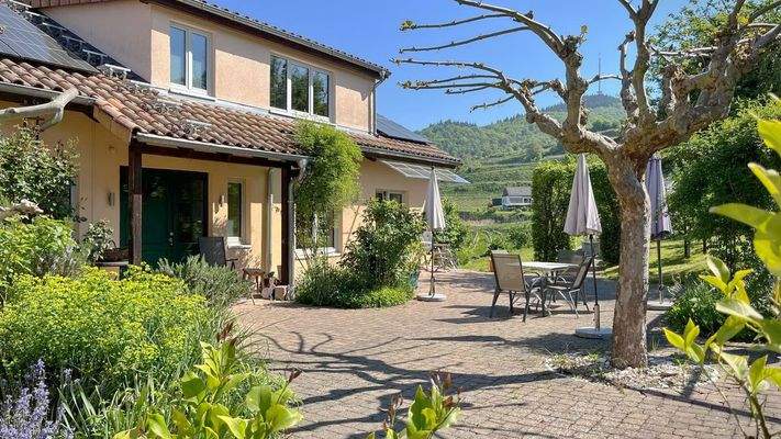 Mediterran gestalteter Vorgarten